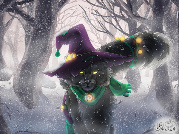 Witch Cat