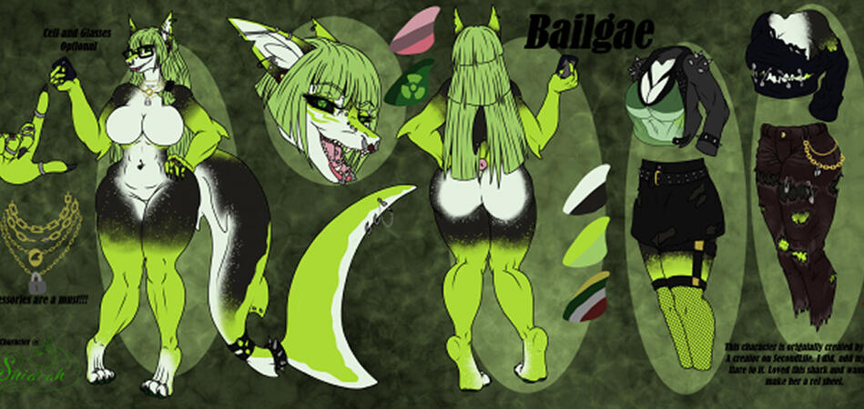 Bailgar Ref Sheet